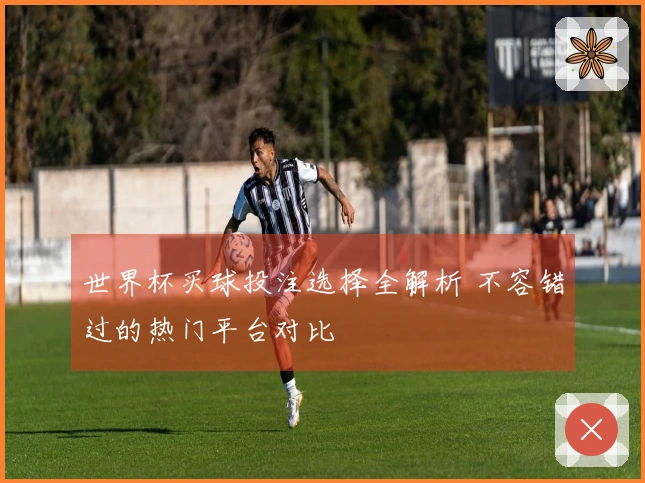 世界杯买球投注选择全解析 不容错过的热门平台对比