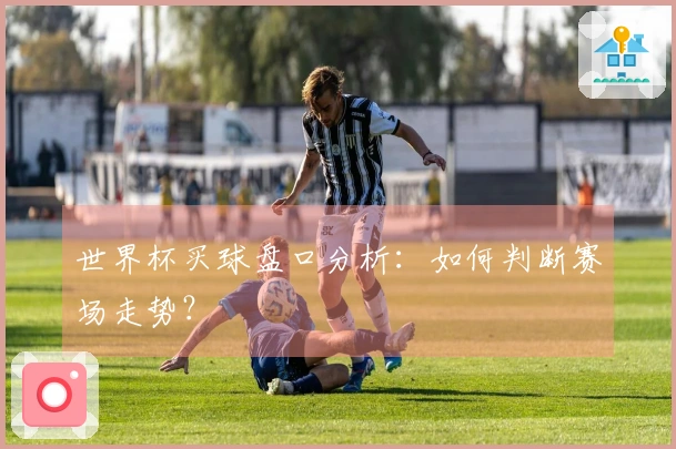 世界杯买球盘口分析：如何判断赛场走势？
