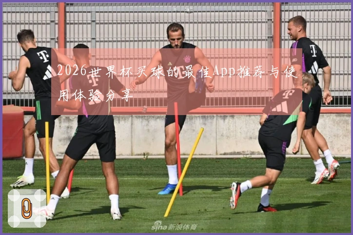 2026世界杯买球的最佳App推荐与使用体验分享