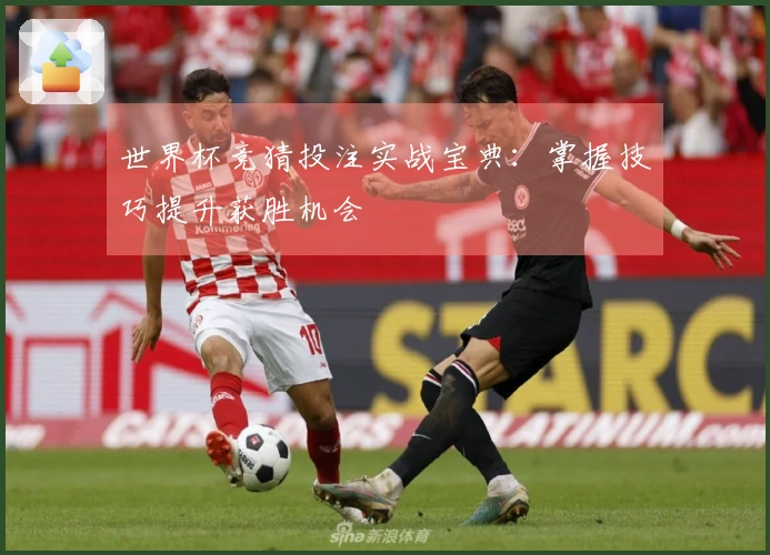 世界杯竞猜投注实战宝典：掌握技巧提升获胜机会
