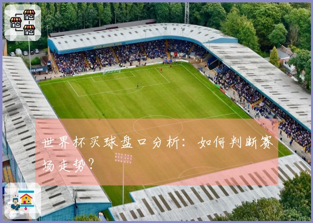 世界杯买球盘口分析：如何判断赛场走势？