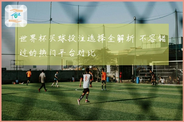 世界杯买球投注选择全解析 不容错过的热门平台对比